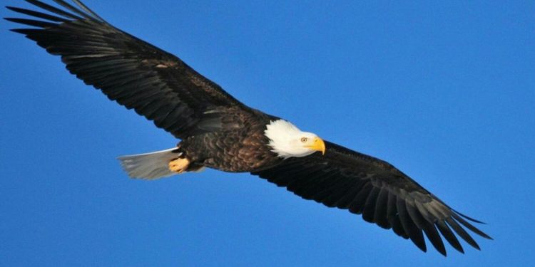 Шеъре аз Носир Хосрав