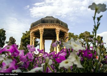 Зулфи Ҳофиз