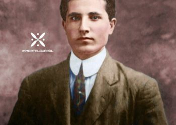 Сесад гули сурх , як гули насронӣ