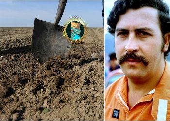 Кумаки зераконаи Пабло Эскобар ба падараш