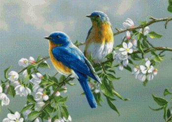 Дарахт бикоред