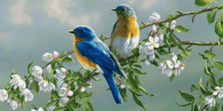 Дарахт бикоред