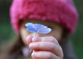 Гузашту бахшиш