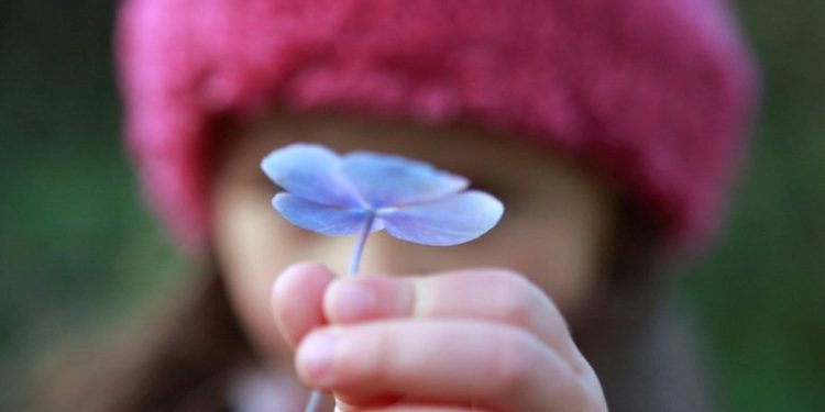 Гузашту бахшиш