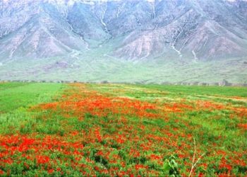 Хуросонвора