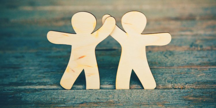 робитаи солим