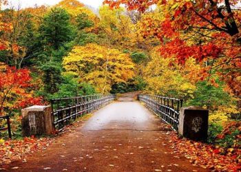 Рақобат ё ҳамкорӣ