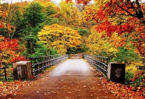 Рақобат ё ҳамкорӣ