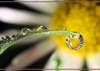 Беҳтар аз гузаштаам