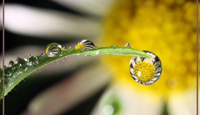 Беҳтар аз гузаштаам