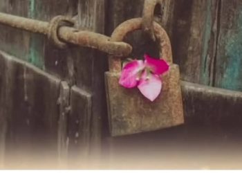 Нигарон набош...