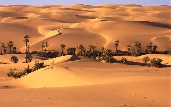 Ҷамъоварии ҳезум