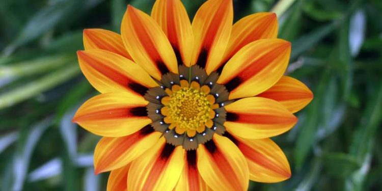 Адабомӯхтаи Худованд