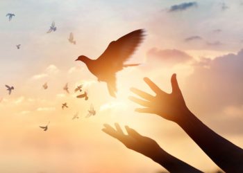 Ҳикояти ҷанги ҳаким