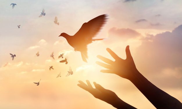 Ҳикояти ҷанги ҳаким