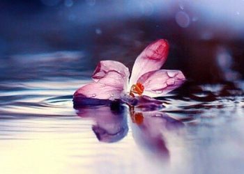 неъматҳои Худованд