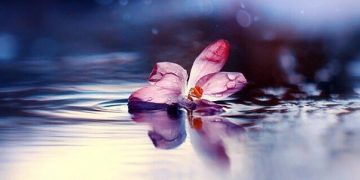 неъматҳои Худованд