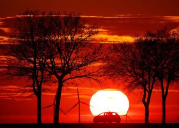 Асаргузории ҳамнишин