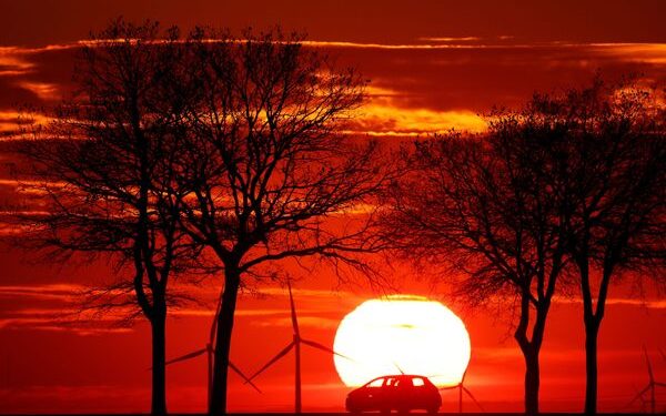 Асаргузории ҳамнишин