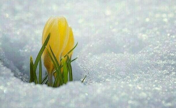 Мумкин ва ғайримумкин