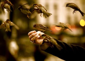 Биҳишт хонаи саховатмандон аст