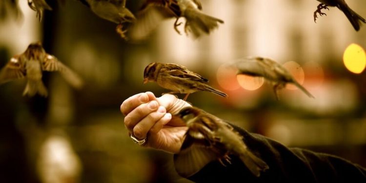 Биҳишт хонаи саховатмандон аст