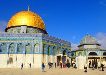 СММ; ташкили кишвари Фаластин