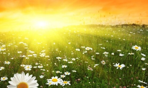 Барои дӯст доштан