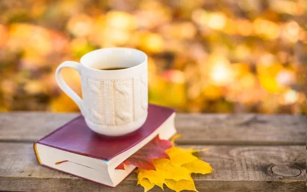 Мақоми ҳикмат