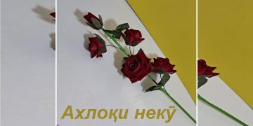 Ниёзмандии инсон ба ахлоқи хубу некӯ