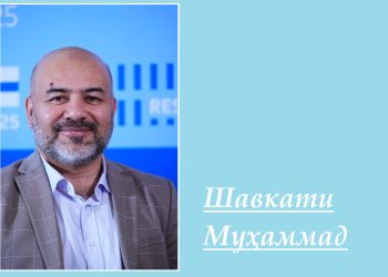 Ману Эронзамин