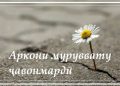 Аркони муруввату ҷавонмардӣ