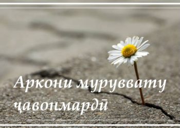 Аркони муруввату ҷавонмардӣ