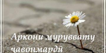 Аркони муруввату ҷавонмардӣ