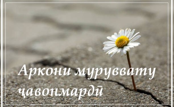 Аркони муруввату ҷавонмардӣ
