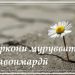 Аркони муруввату ҷавонмардӣ